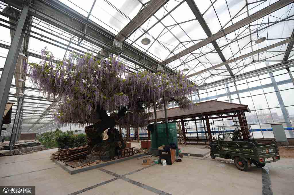 Coal mine owner spends hundreds of millions to build smog-proof wonderland