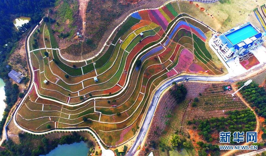 Tulips create colorful picture for visitors in Jiangxi