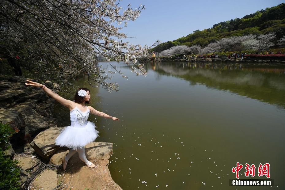 Flower ballet in Hunan