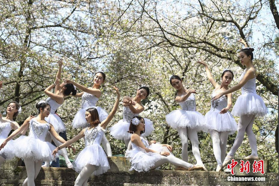 Flower ballet in Hunan