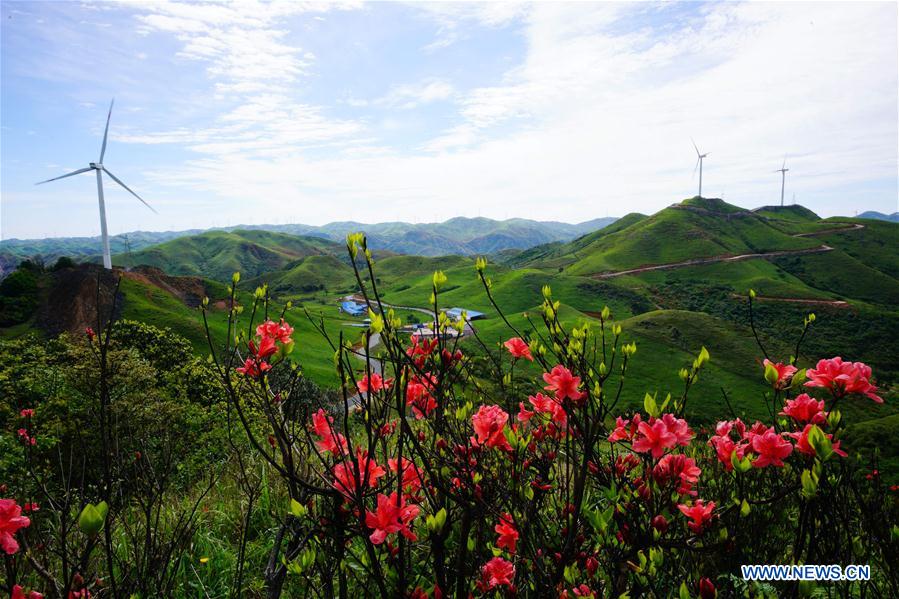 Wind power farms seen on Nanshan Mountain in China's Guangxi