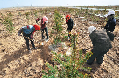 World stakeholders to meet in China to discuss desert control