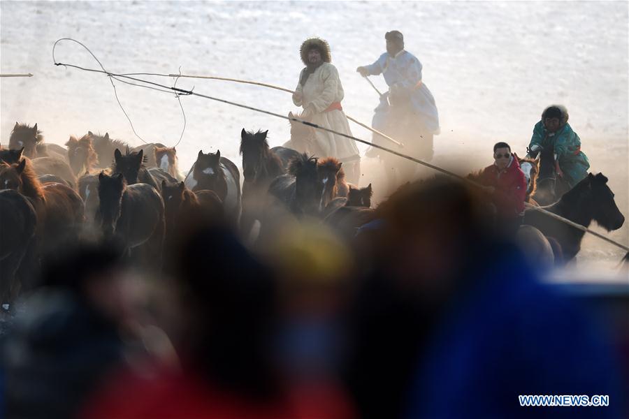 Efforts made to protect Mongolian horse culture