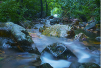 Scenery of Limutai scenic spot in N China's Tianjin