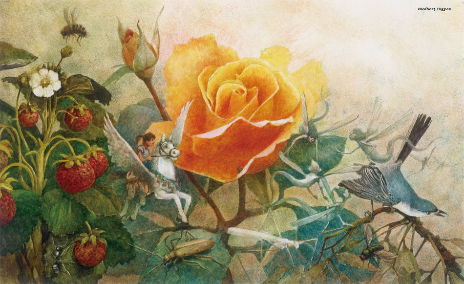 Illustration winners of Hans Christian Andersen Award on display in Beijing