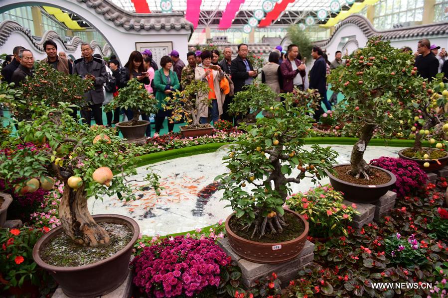 Trade fair for flowers, trees held in central China's Xuchang