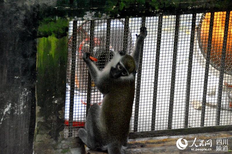 Zoo animals enjoy warm winter with heaters