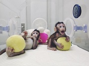 China cements place in scientific elite