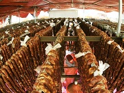 Local markets prepare for Spring Festival