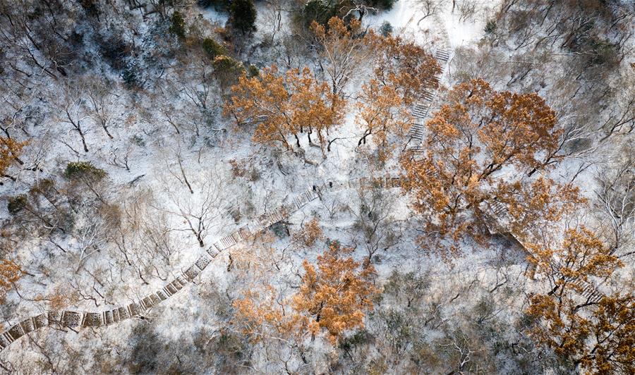 Snow scenery of tourism resorts across China