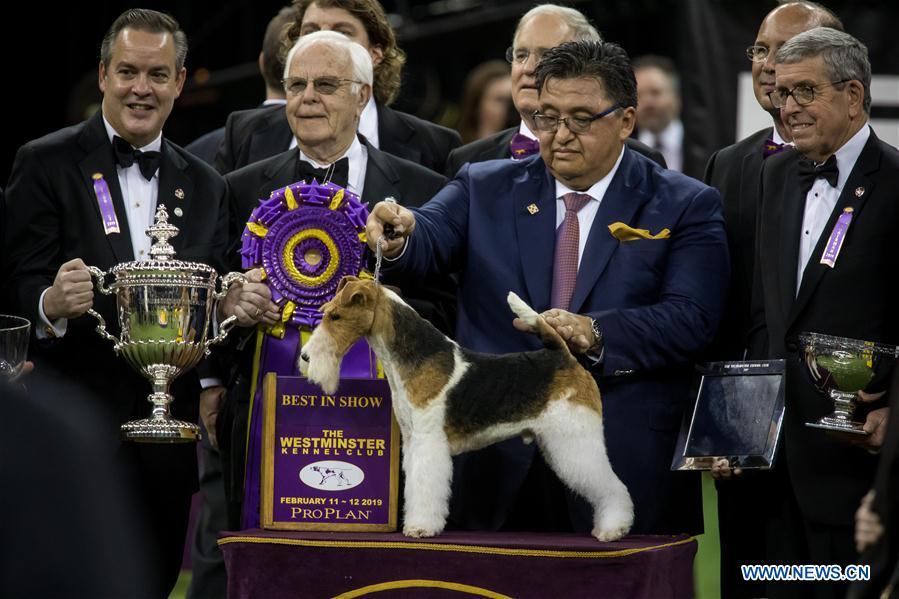 143rd Annual Westminster Kennel Club Dog Show concludes in New York