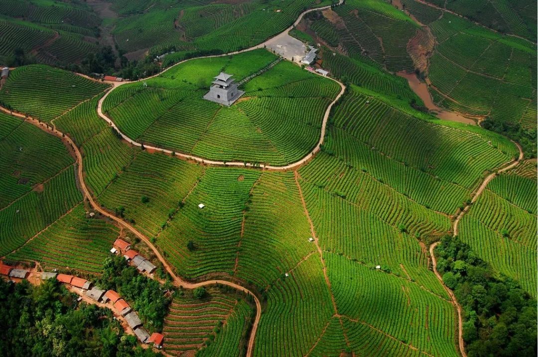 Pu’er on the List of TOP10 Chinese Self-driving Tour Destinations