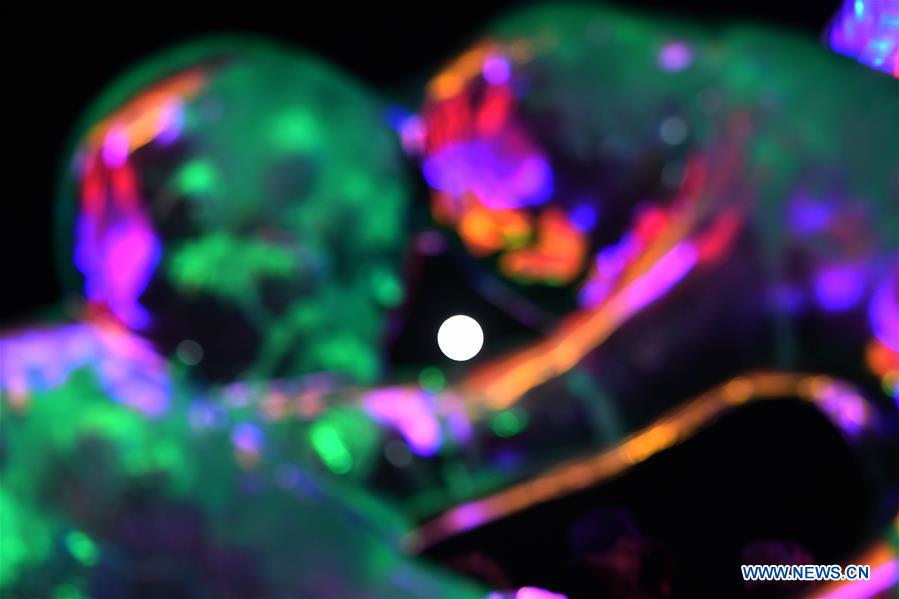 Activities held to celebrate Lantern Festival in Altay, NW China's Xinjiang