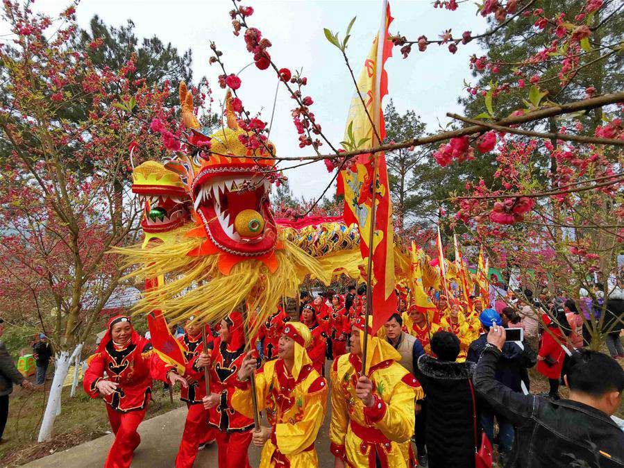 Peach blossom festival held in China's Guangxi to celebrate coming of spring