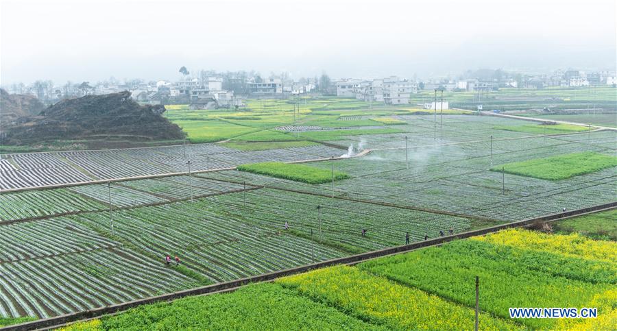 Spring farming across China