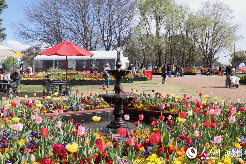 Canberra blooms: Australia’s biggest celebration of spring