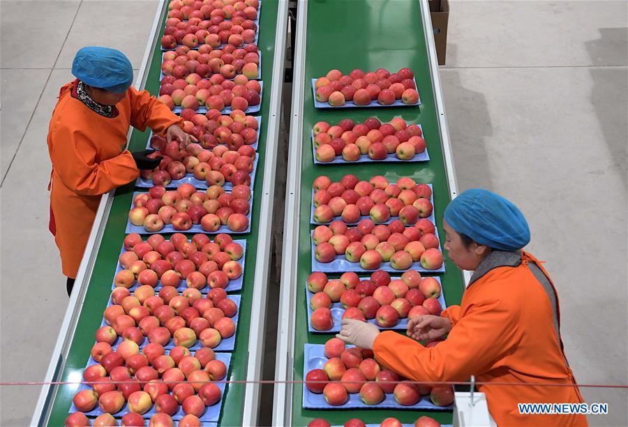 Luoning County gov't strengthens poverty alleviation efforts