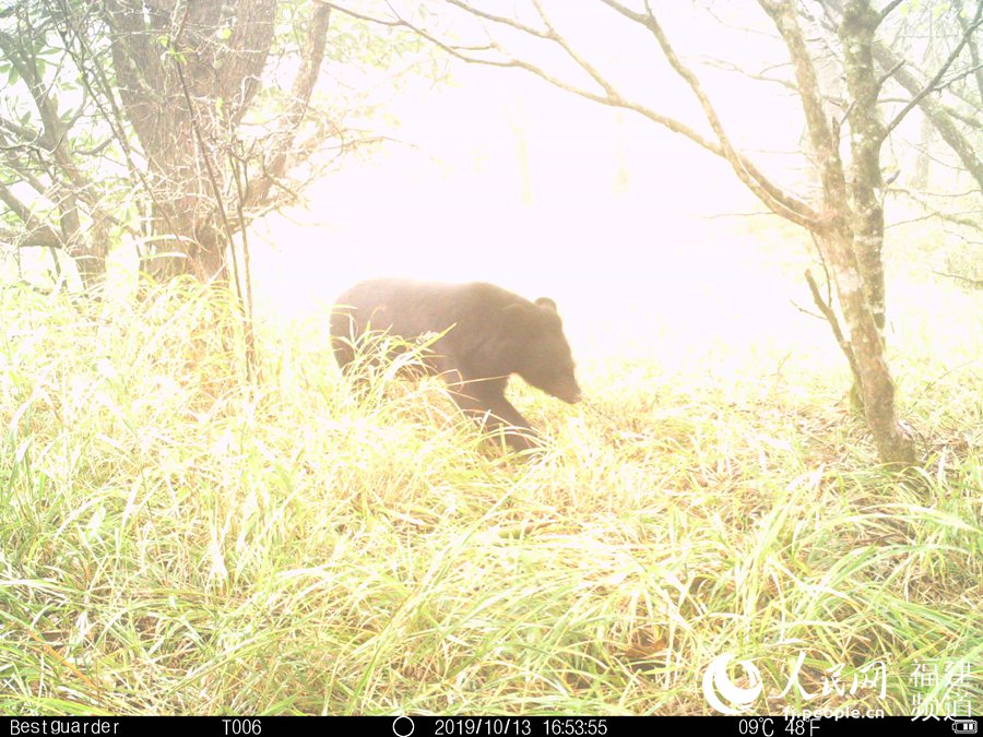 Scientific expedition team digs nature reserve in southeast China