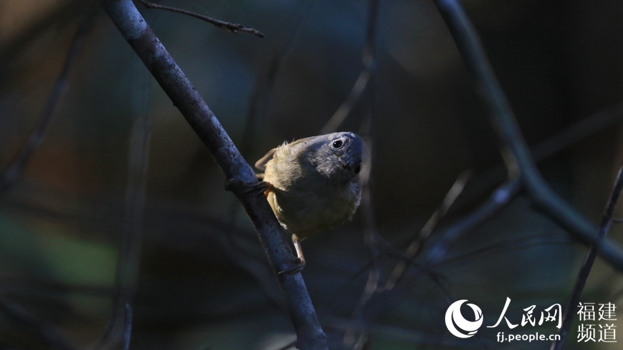 Scientific expedition team digs nature reserve in southeast China
