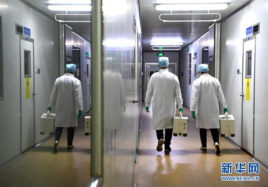 Couple work in same lab to fight against coronavirus