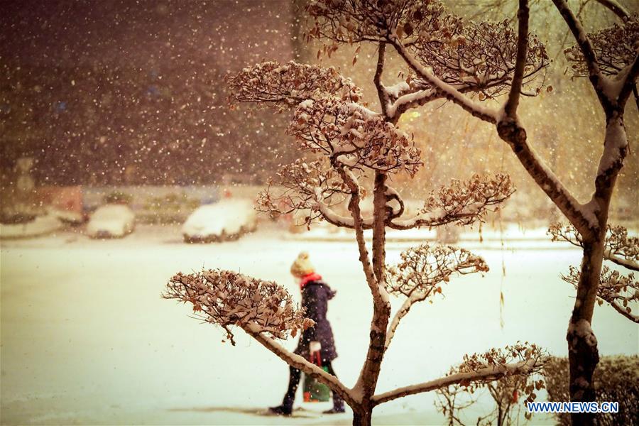Snowfall hits NE China's Harbin