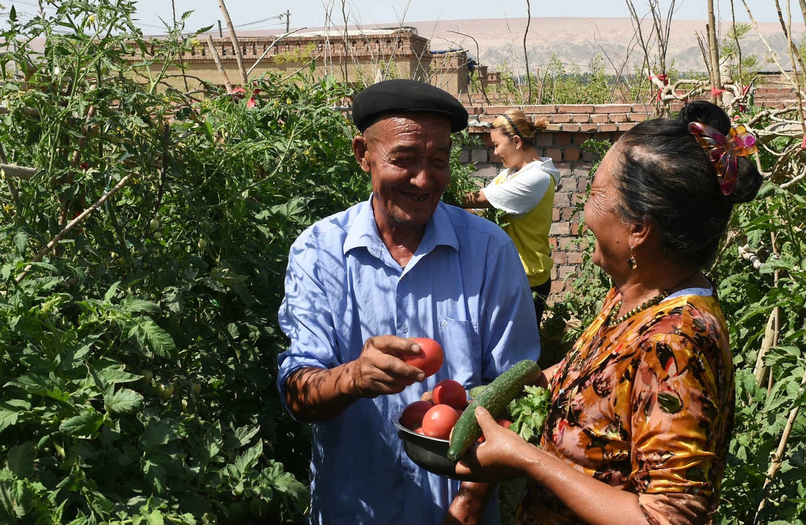 Shache county in Xinjiang implements targeted poverty alleviation measures