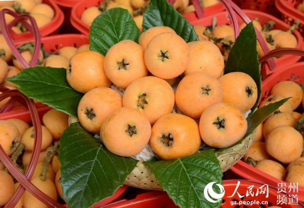 Migrant worker develops fruit planting business, helps fellow villagers increase income