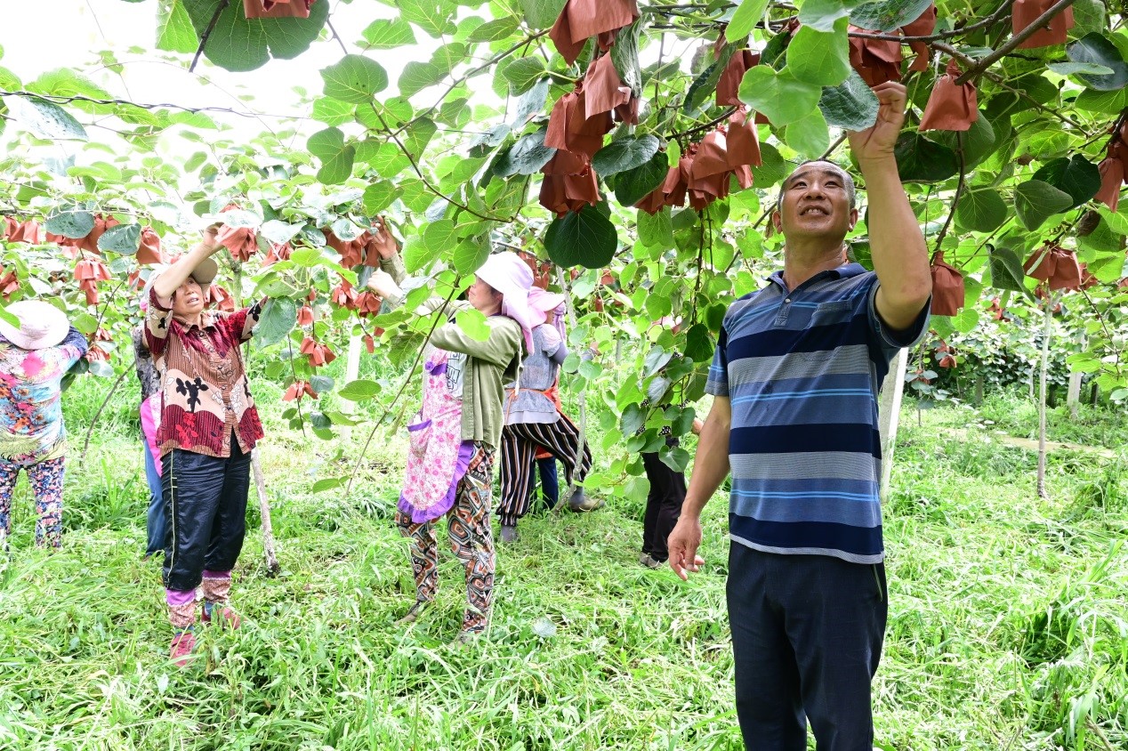 Migrant worker returns to home town, runs eco-friendly farm and contributes to poverty alleviation