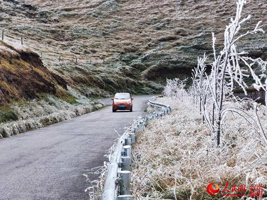 Dahai Township of Qujing city, 3,000 meters above sea level, witnesses its first icicles of this year. Along the road to Dahaicao Mountain, guardrails, grasses and branches are frozen by the unexpected icicles, prompting people to take photos from their cars, Oct. 21, 2020. (Photo/Zhang Kunhong)
