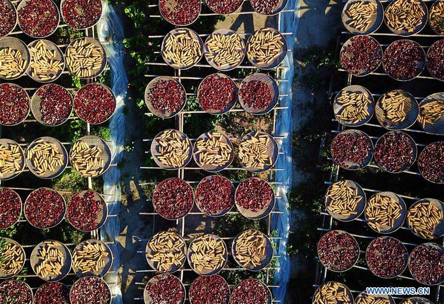 Scenery of Guifeng Village in Sanming City, Fujian