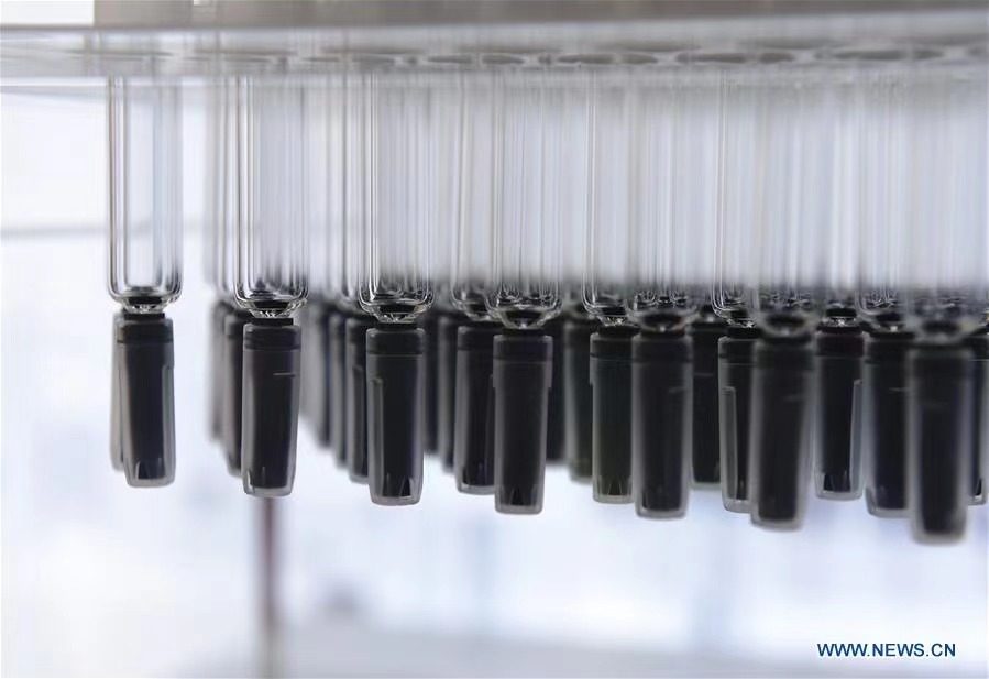 CIIE: Highlights on Consumer Goods exhibition area