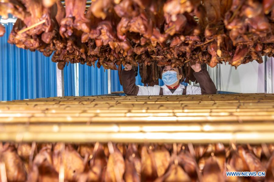 In pics: poverty-alleviation workshop in Guizhou