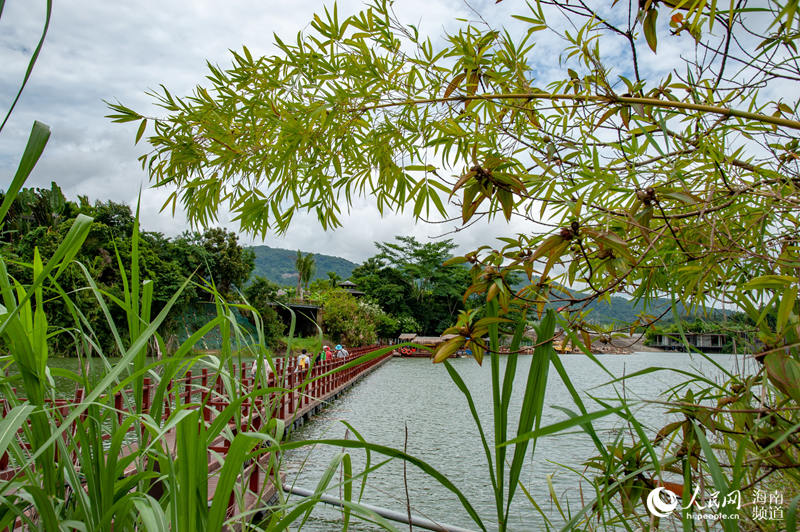 Ethnic minority village holds activities to promote tourism in Hainan
