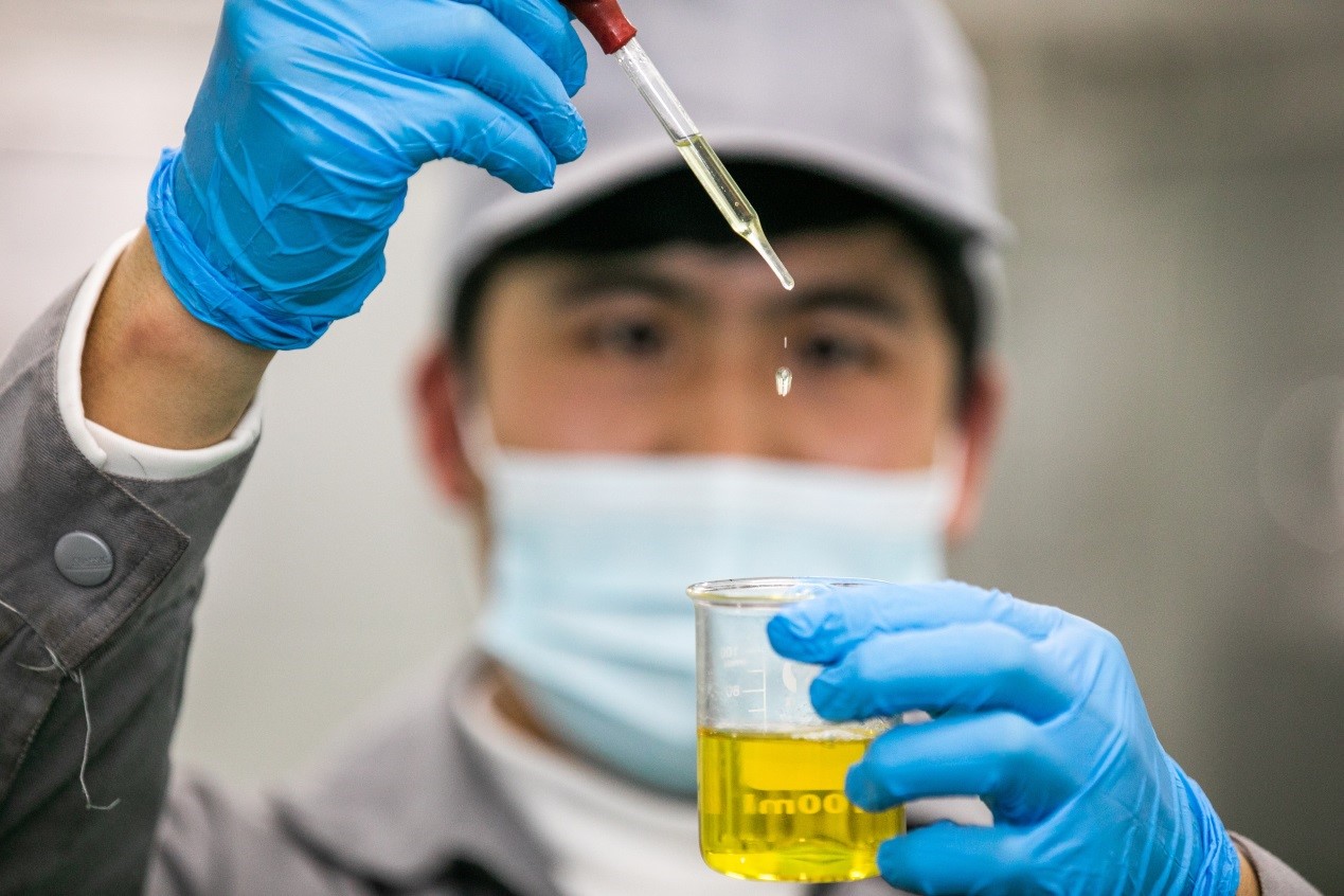 Village in SW China explores roxburgh rose industry, lifts residents out of poverty