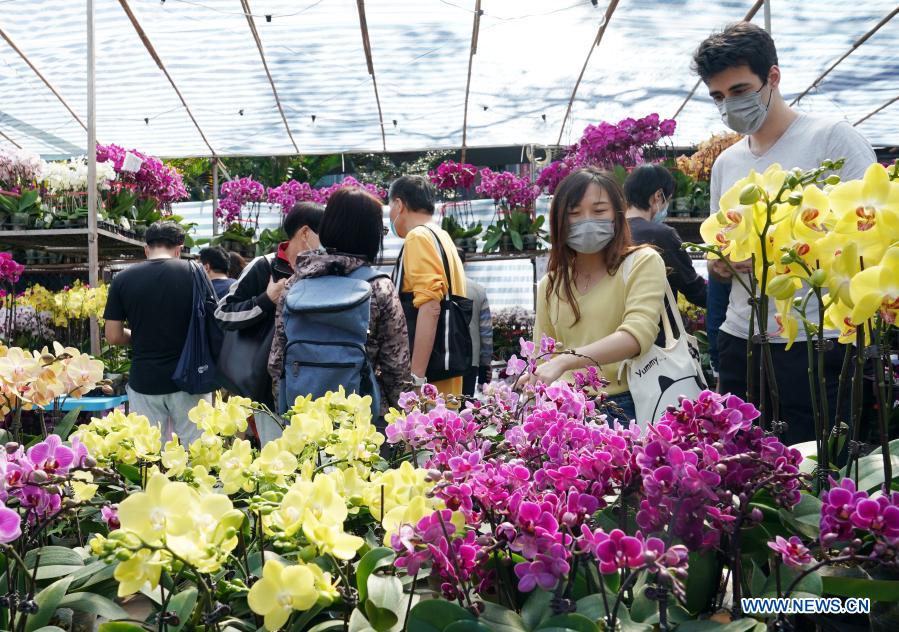 Hong Kong scales down Lunar New Year flower trade amid pandemic