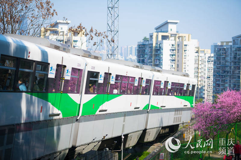 Train runs amid spring flowers in Chongqing