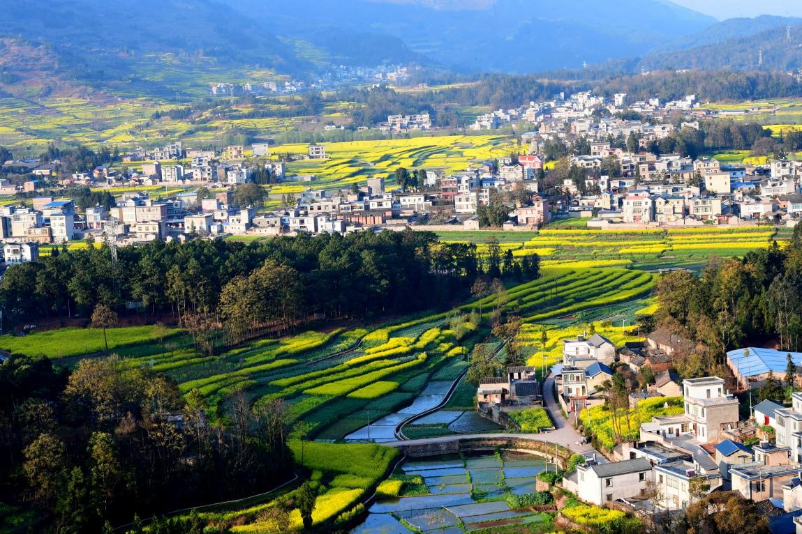 China wins praise for contributions to world's human rights cause