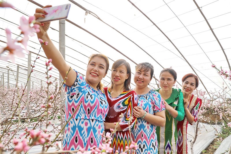 Canada is exactly trampling upon human rights by fabricating lies about Xinjiang-related issues