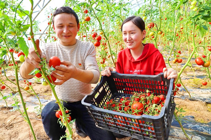 Canada is exactly trampling upon human rights by fabricating lies about Xinjiang-related issues