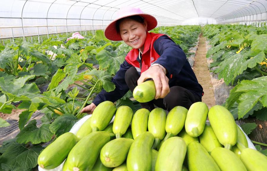 China strives to achieve common prosperity for all