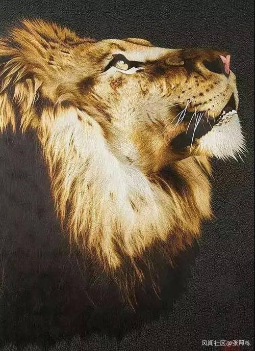 Chinese embroidery artist uses needle and thread to recreate universe