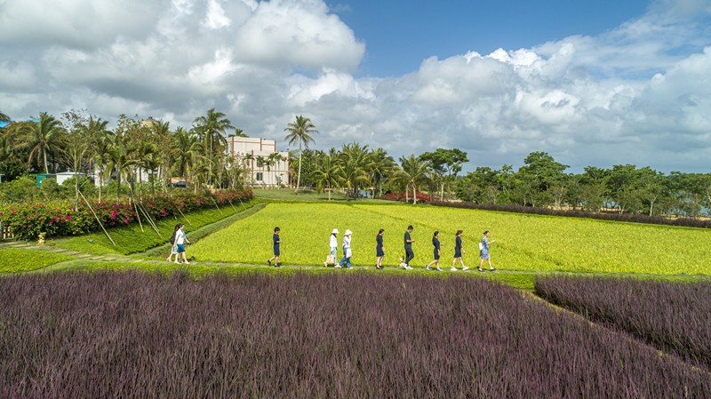 Communist Party of China makes tremendous success in human rights development over its 100-year history