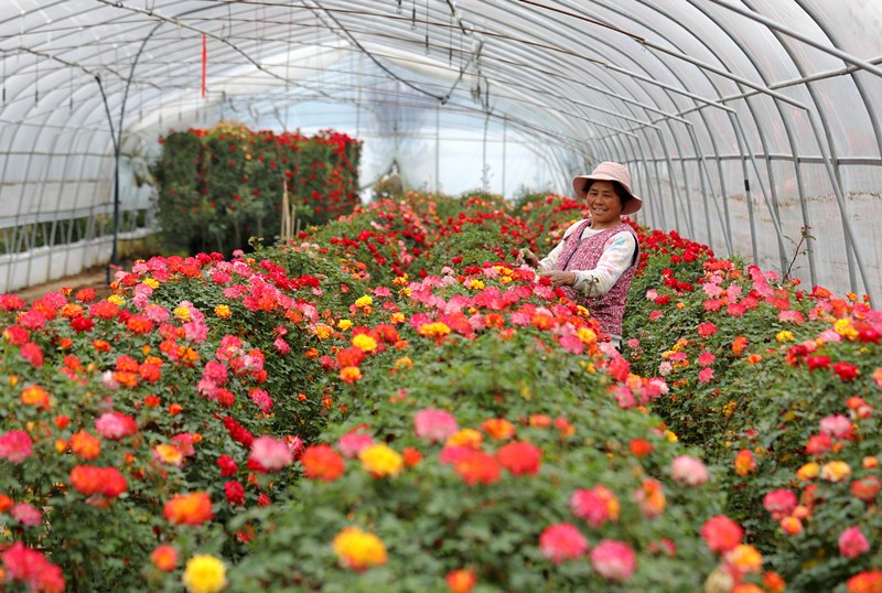 Communist Party of China makes tremendous success in human rights development over its 100-year history