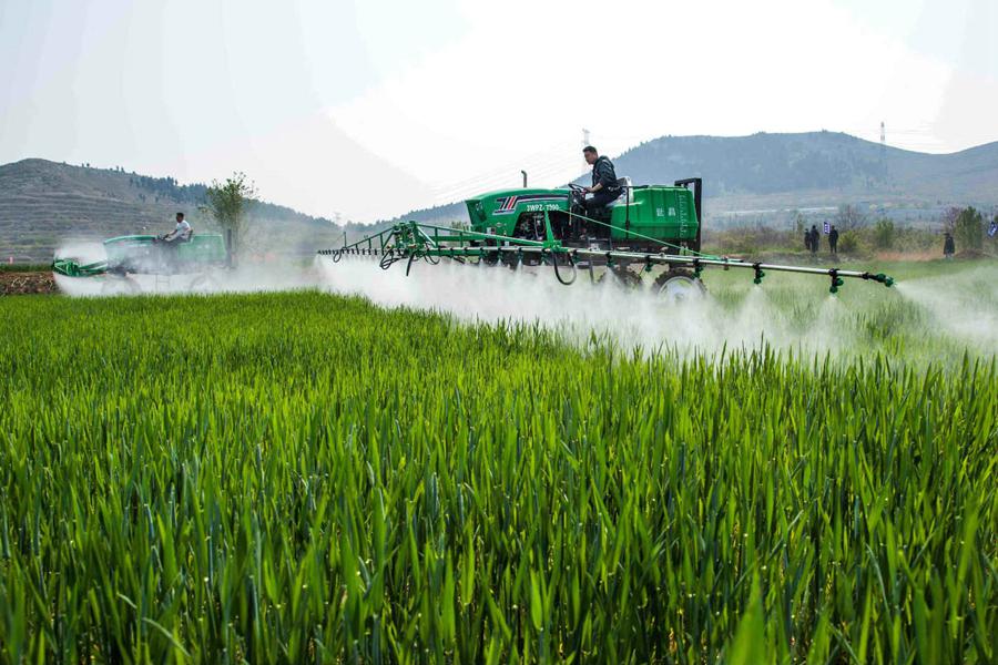 Information technology gives a leg up to China's spring farming