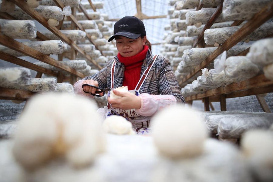 China strives to help relocated poor embrace better life