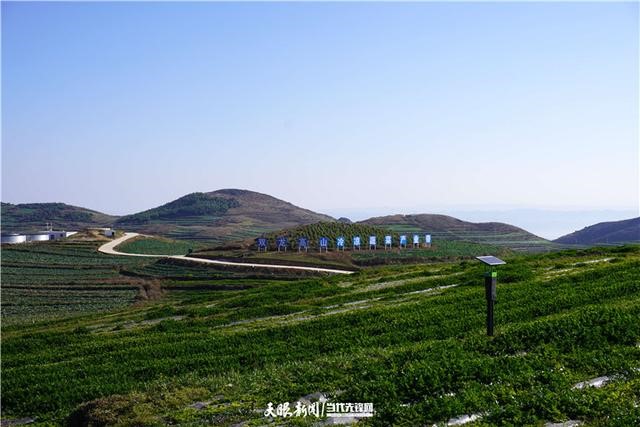 Featured industries help reduce poverty in Guizhou, Sichuan provinces