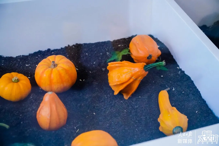 Immersive center gives Shanghai residents experience of space travel