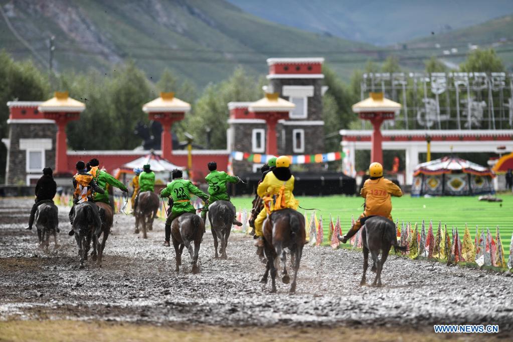 Horse racing activity held in Qinghai