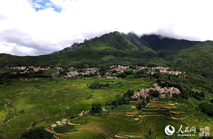 Honghe Hani Rice Terraces in SW China’s Yunnan: a masterpiece of the local people