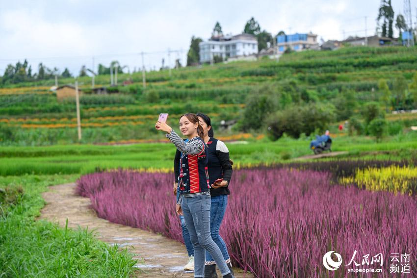 Village in SW China’s Yunnan embraces prosperity through agricultural tourism